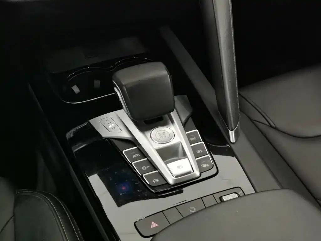 BYD Pro — миниатюра 13
