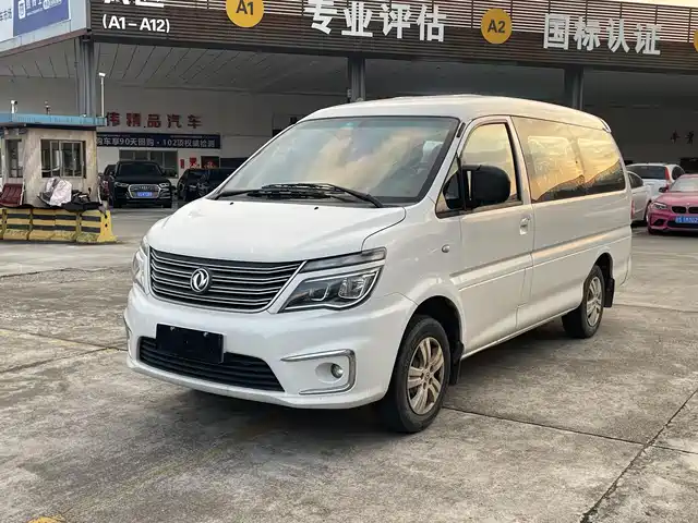 dongfeng lingzhi