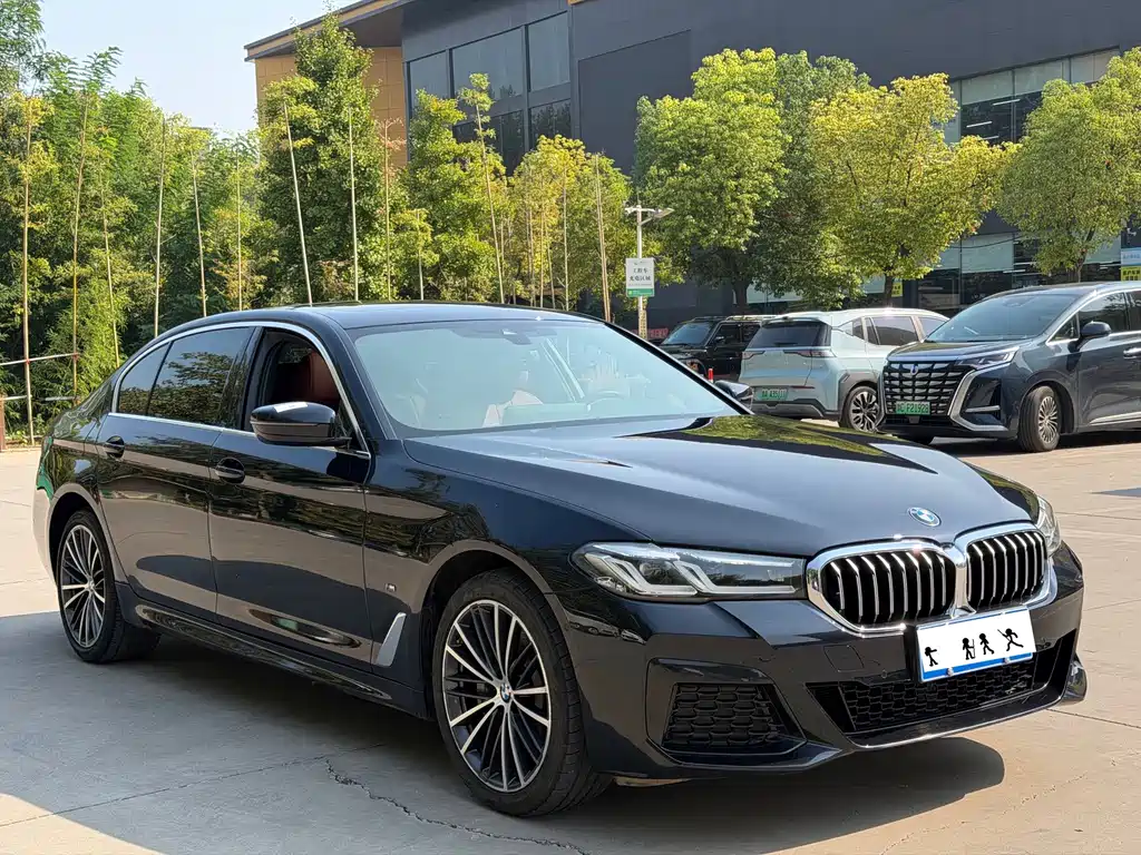BMW 5 Series — миниатюра 3