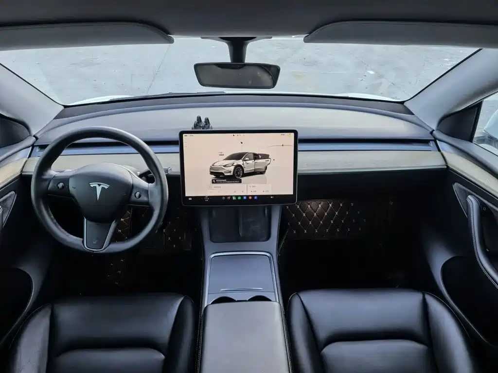 Tesla Model Y — миниатюра 3