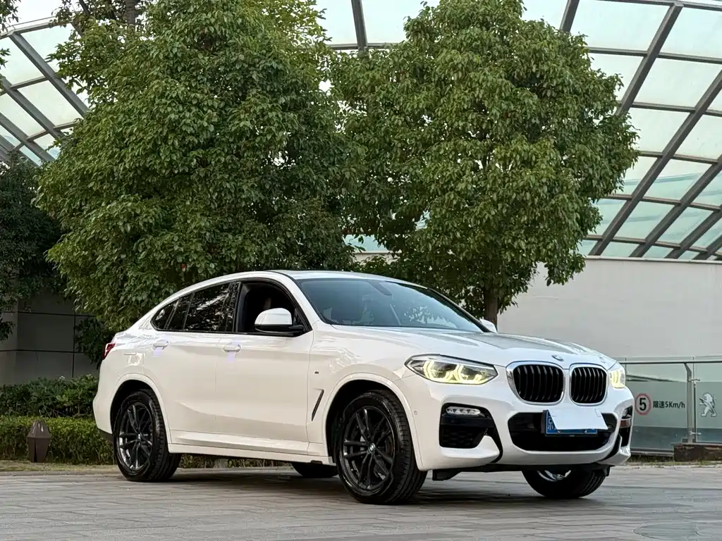 BMW X4 2019 xDrive25i M Sport
