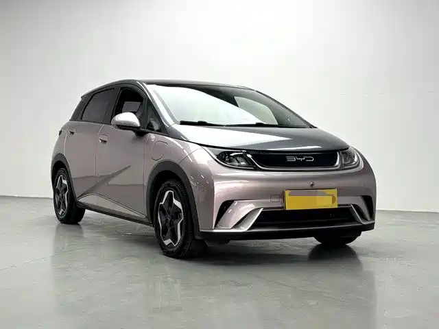 BYD Dolphin — миниатюра 3