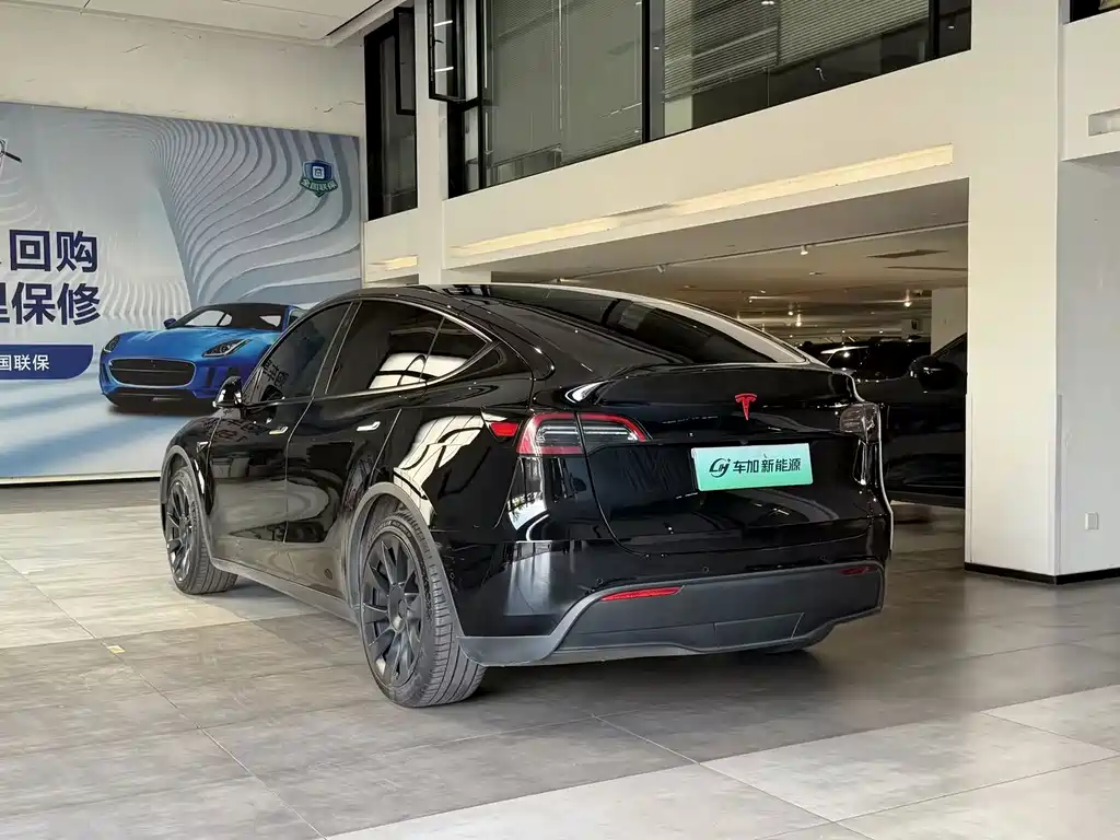 Tesla Model Y — миниатюра 6