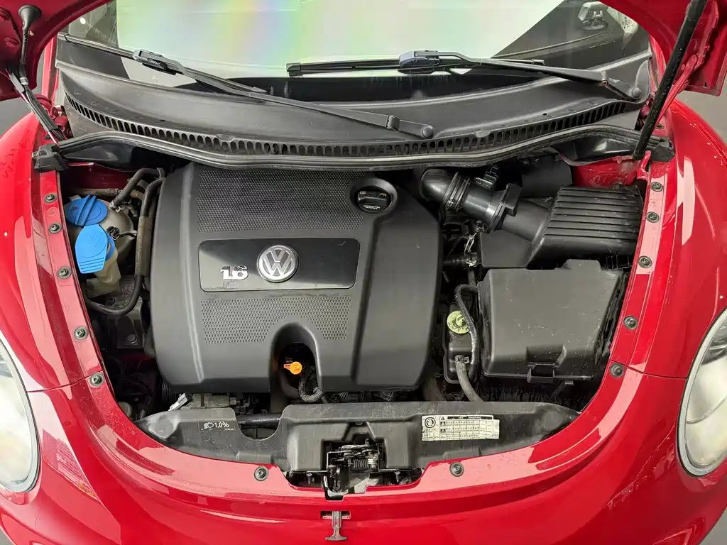 Volkswagen Beetle — миниатюра 9