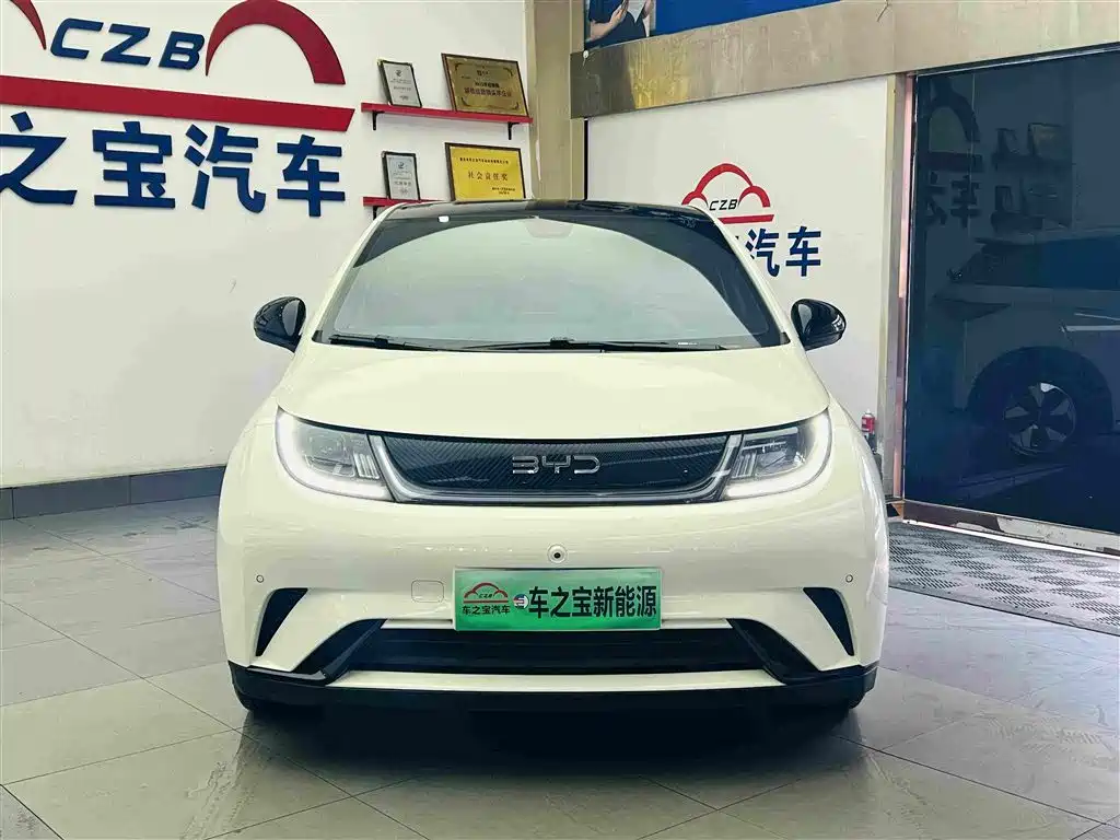 BYD Dolphin — миниатюра 2