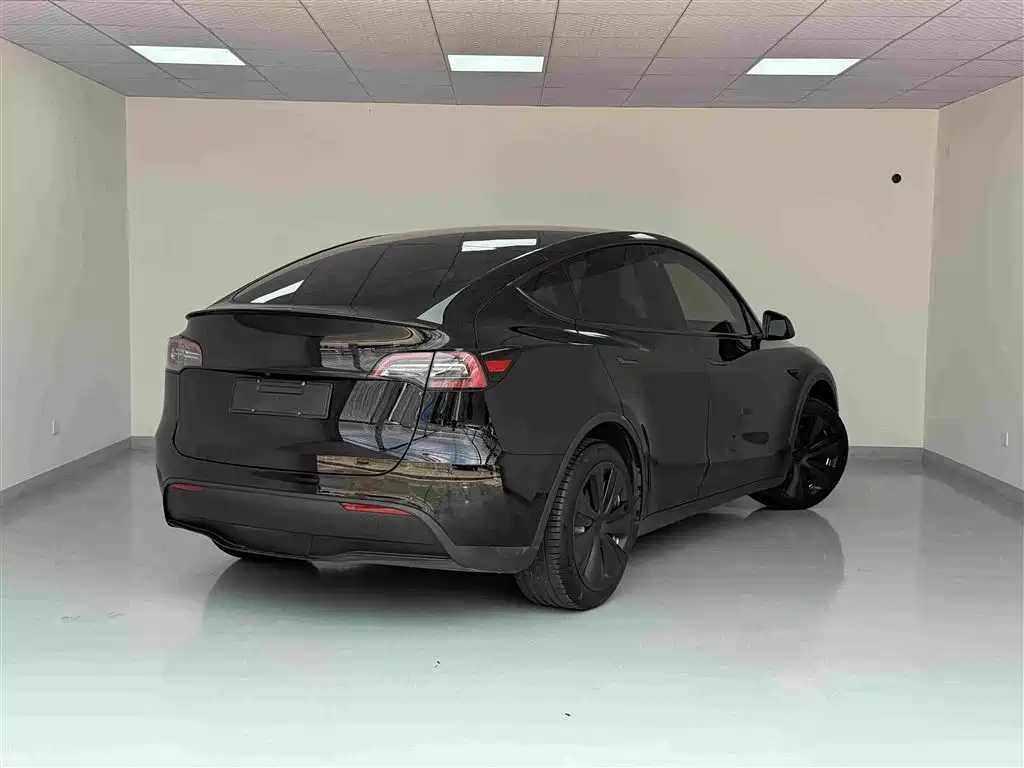 Tesla Model Y — миниатюра 17