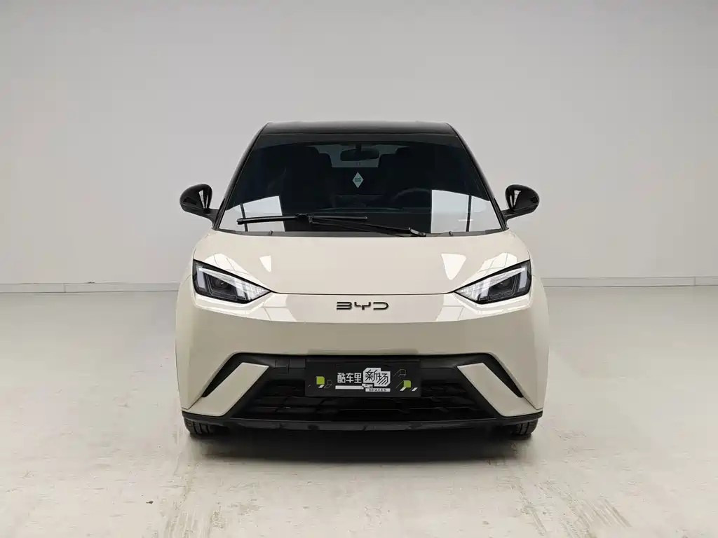 BYD Seagull - фото 2