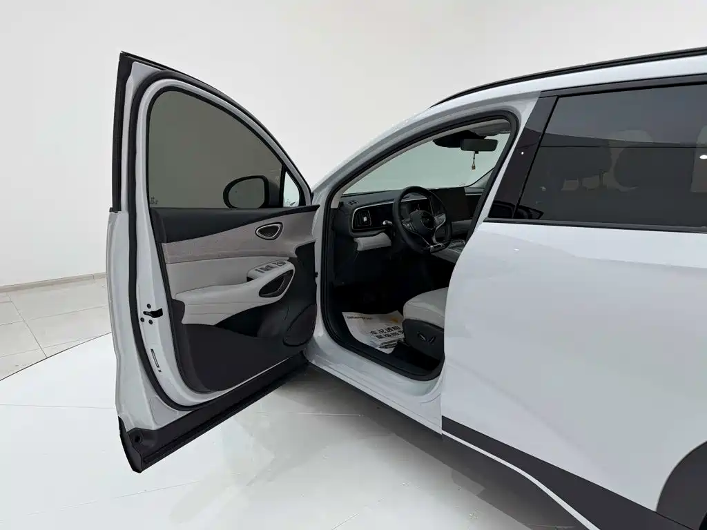 BYD Морской лев 05 EV — миниатюра 6