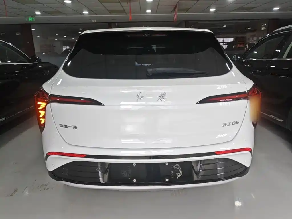 Hongqi Hongqi Tiangong 06 — миниатюра 6