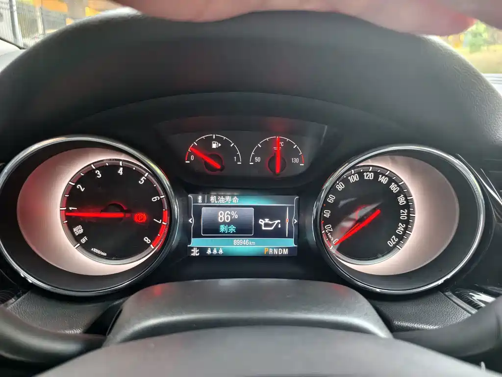 Buick Regal — миниатюра 12