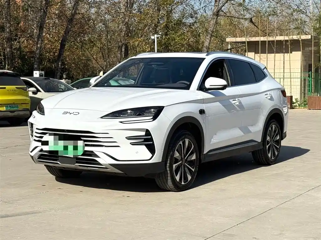 BYD SONGJIANG NEW ENERGY