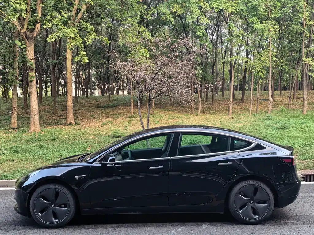 Tesla Model 3 — миниатюра 3