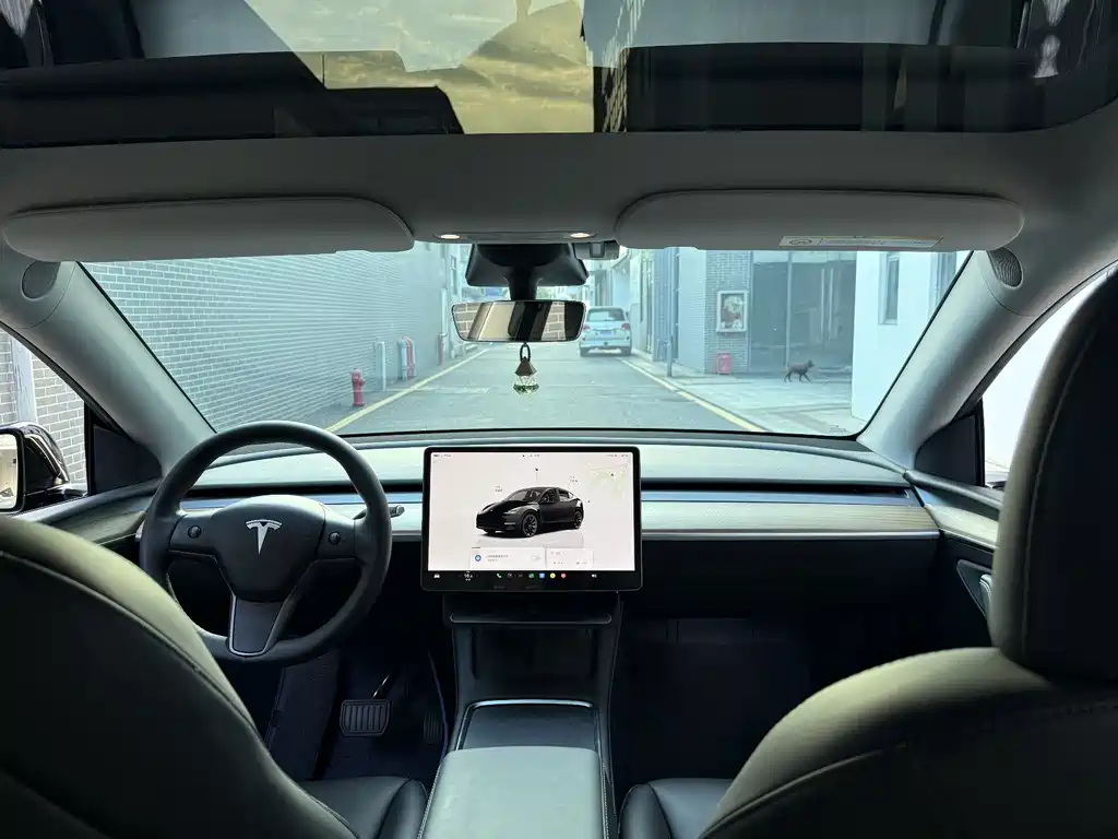 Tesla Model Y — миниатюра 5
