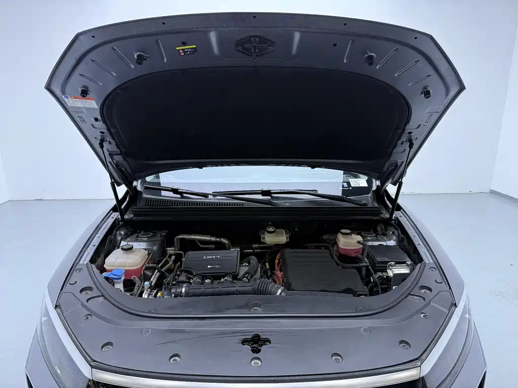 BYD SEA LION 05 DM I