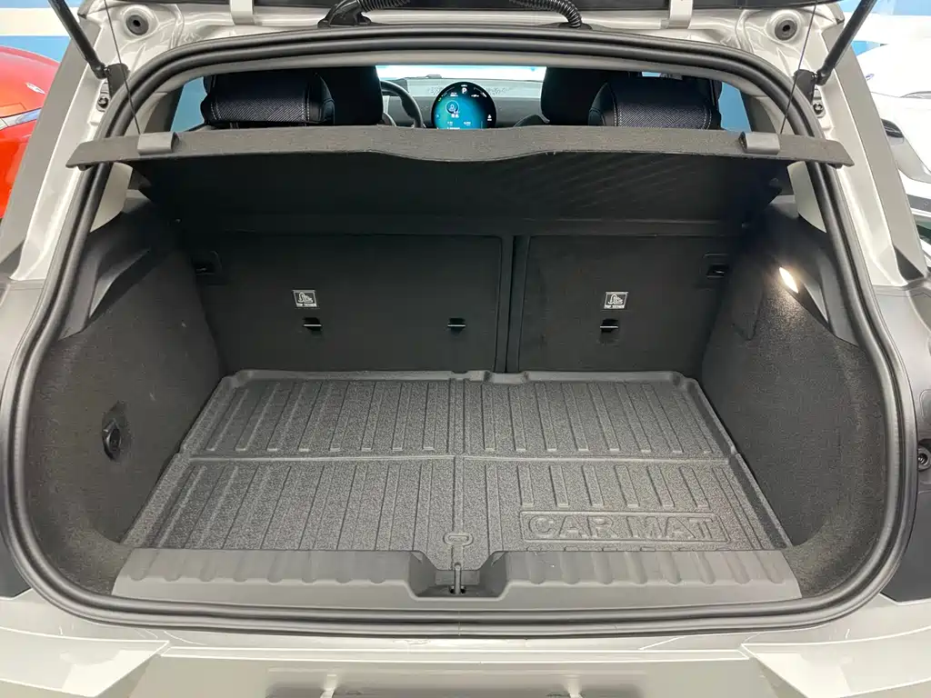 MINI MINI ACEMAN EV — миниатюра 21