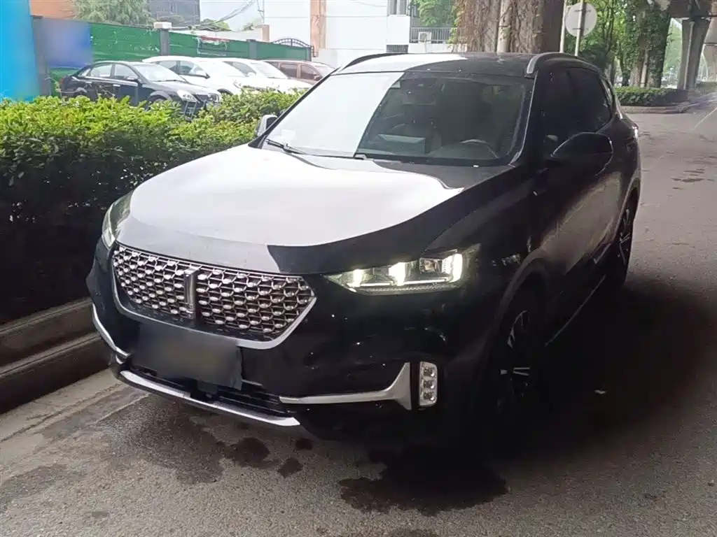 Wey Wey VV6 2020