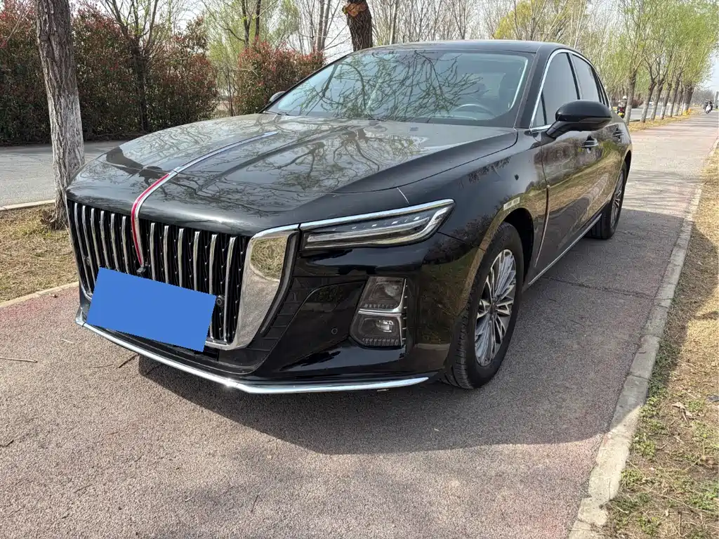 Hongqi Hongqi H5 2024