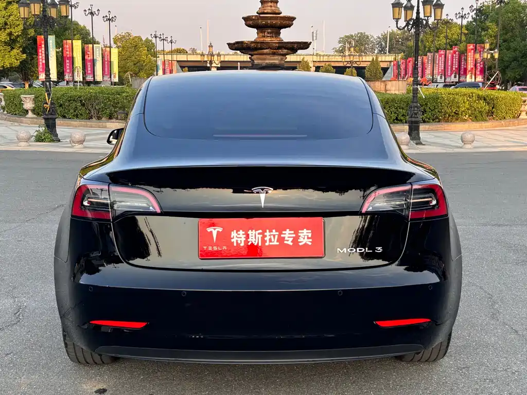 Tesla Model 3 — миниатюра 5