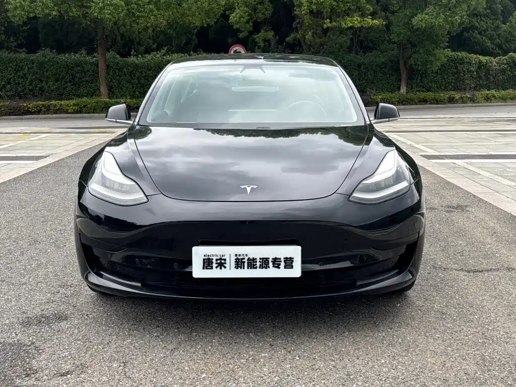 Tesla Model 3 — миниатюра 2