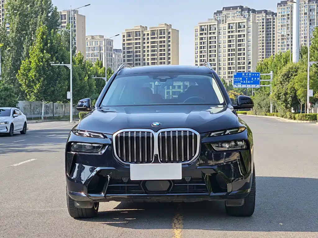 BMW X7 — миниатюра 2