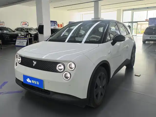 FIREFLY FIREFLY  2026