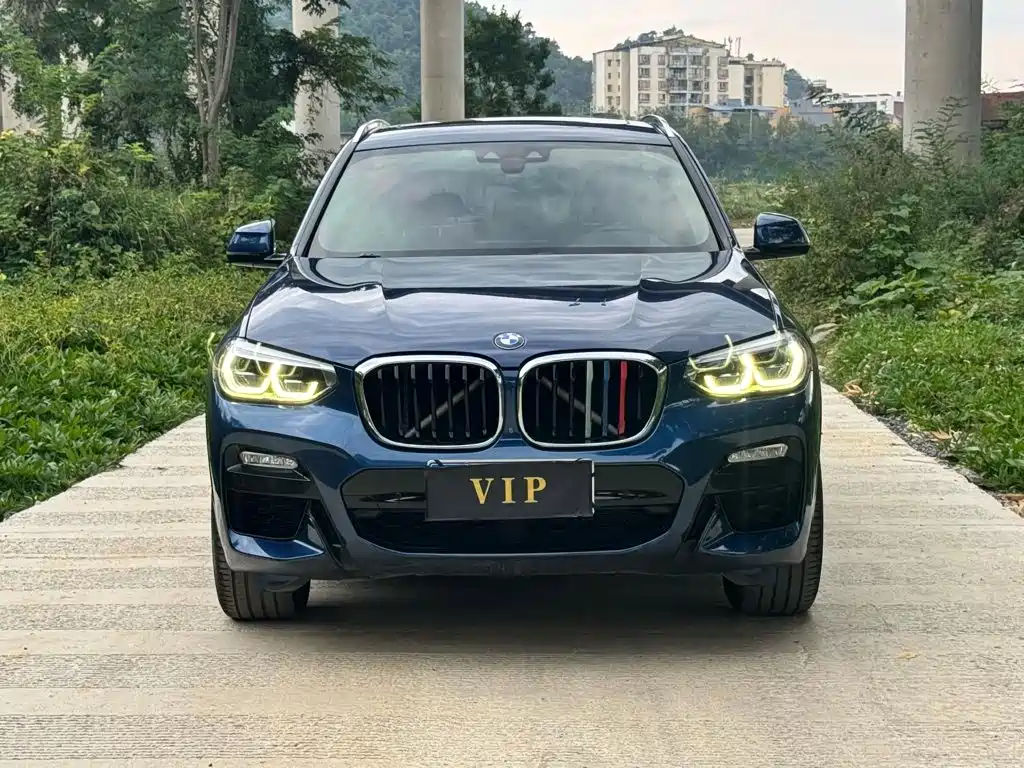 BMW X3 — миниатюра 7