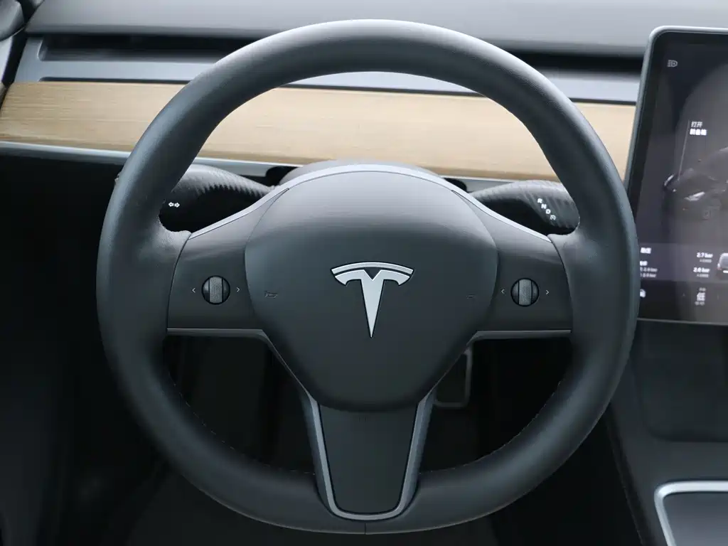 Tesla Model Y — миниатюра 8