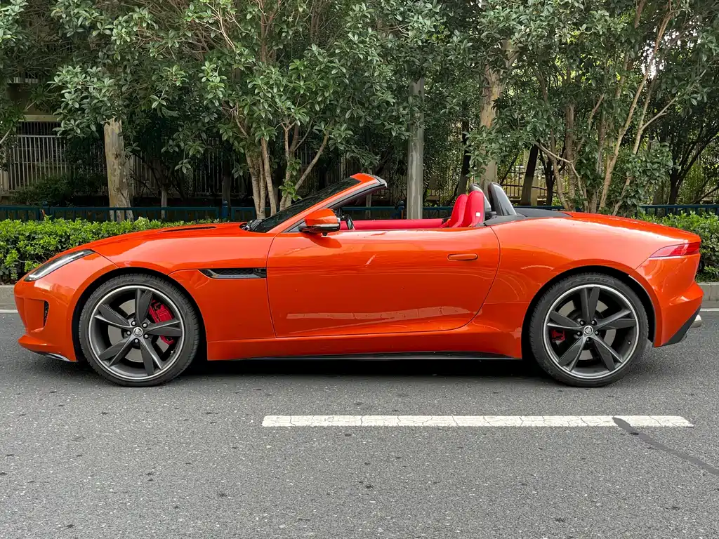 Jaguar F-TYPE 5.0 SC S Convertible Edition, фото 11