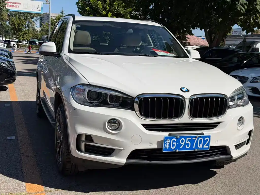 BMW X5 (Import) — миниатюра 3