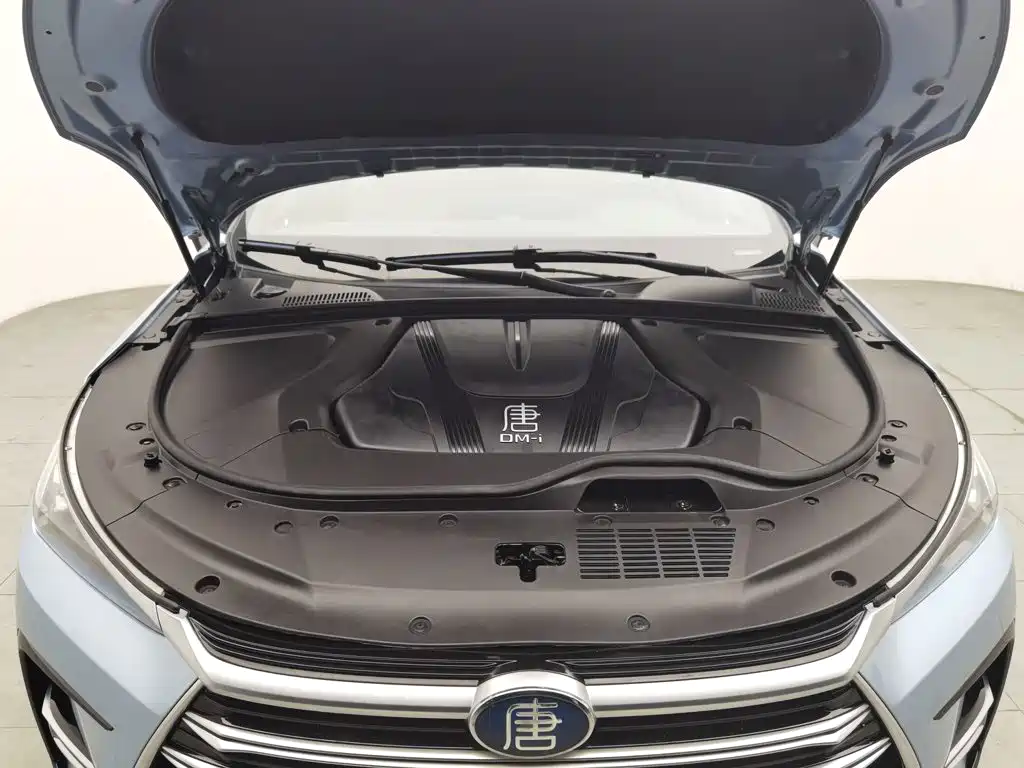 BYD Tang New Energy — миниатюра 6