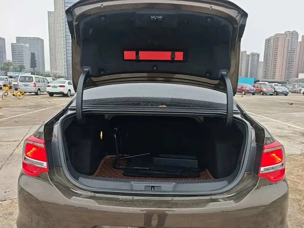 DS DS 5LS — миниатюра 19