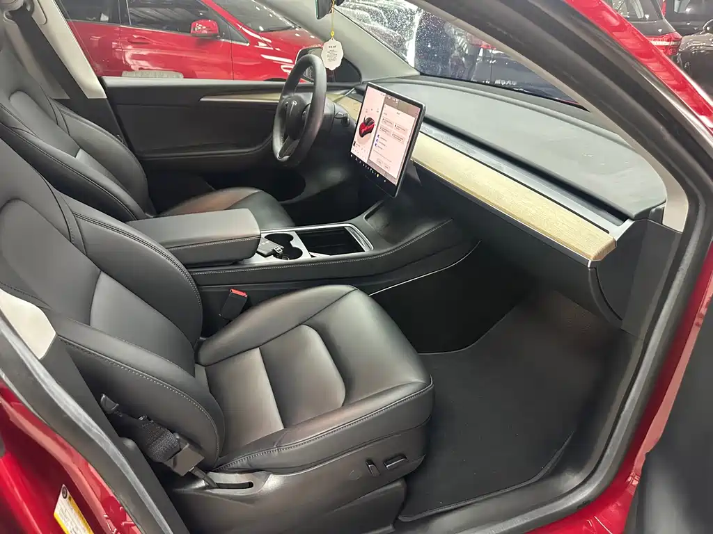 Tesla Model Y — миниатюра 6