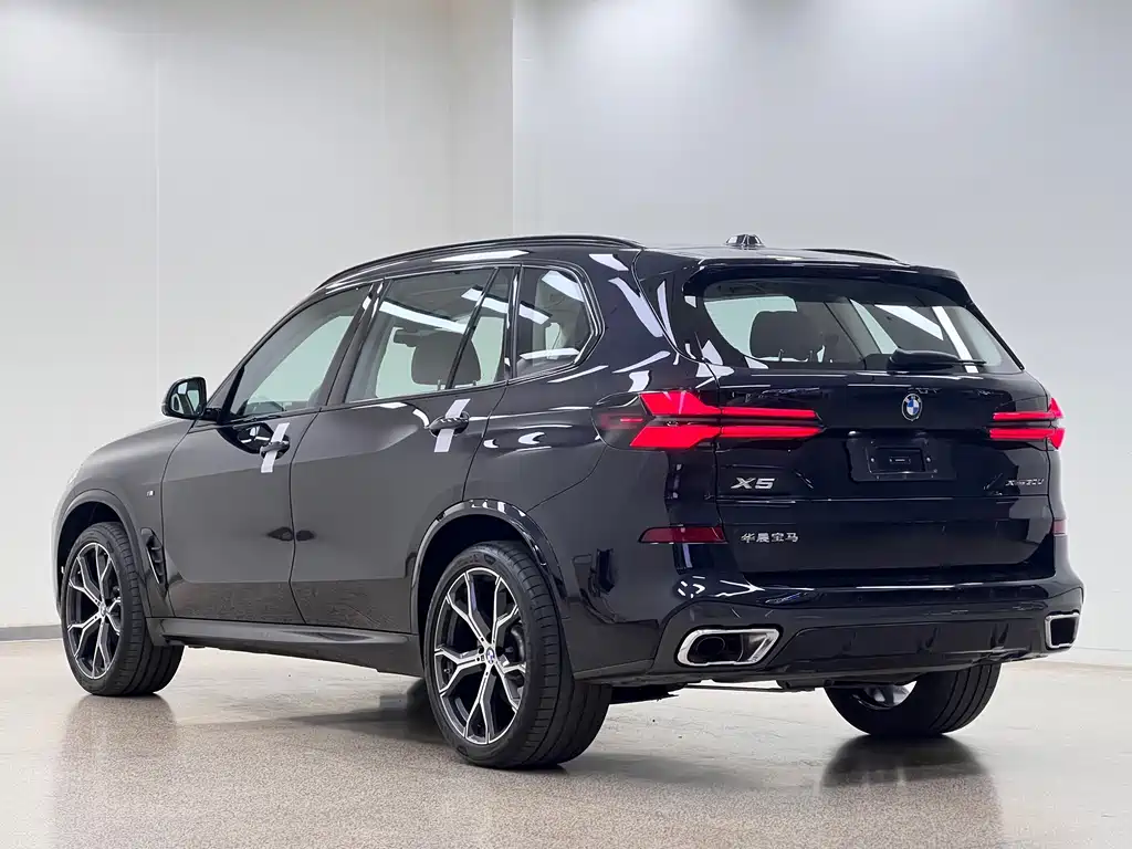 BMW X5 — миниатюра 3