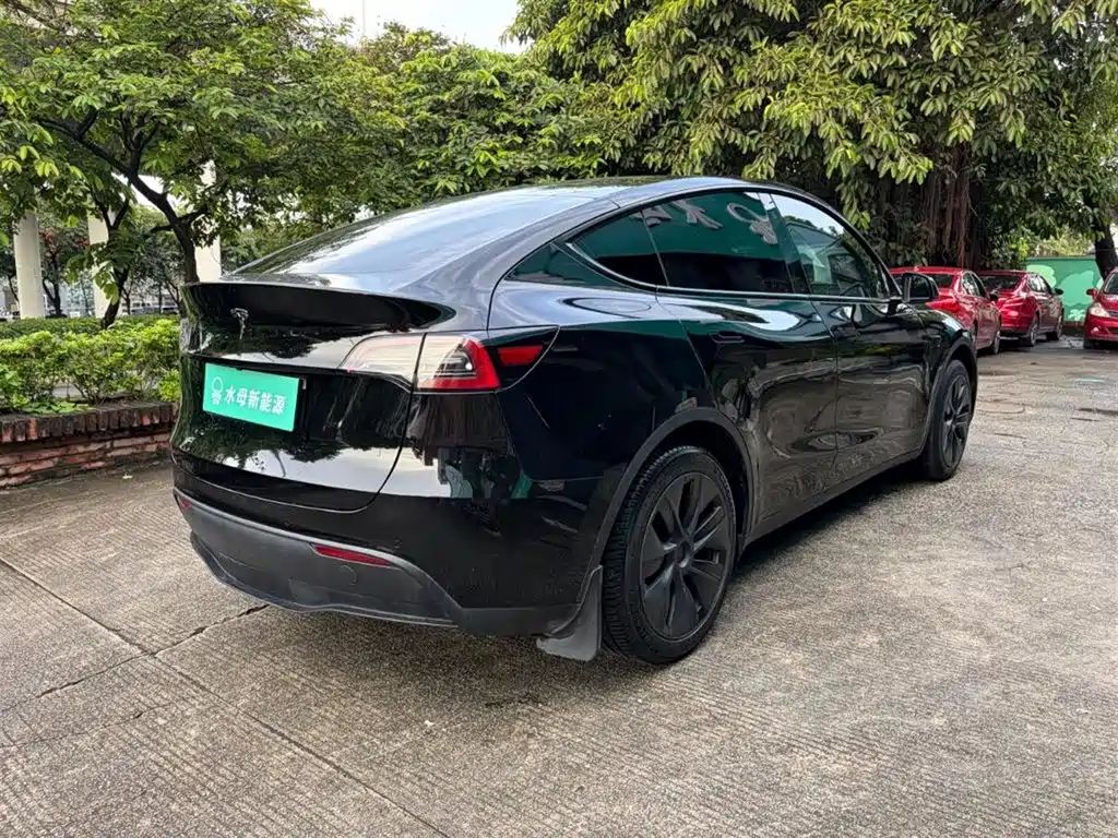 Tesla Model Y — миниатюра 11