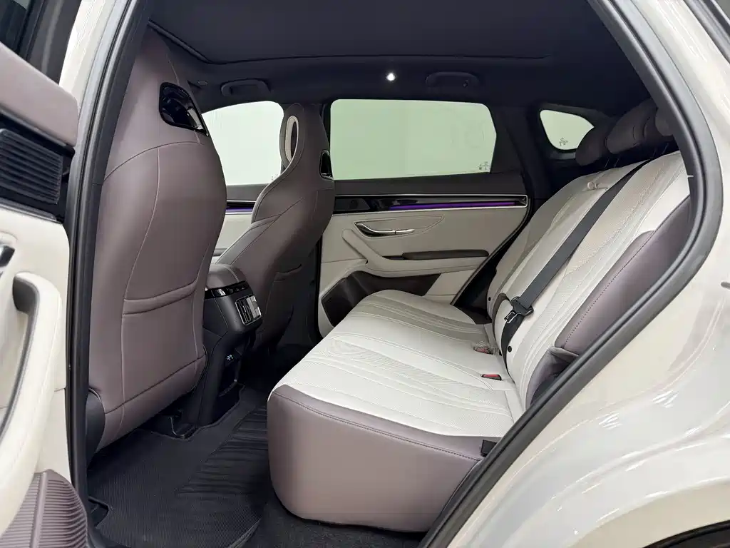 BYD SONGJIANG NEW ENERGY