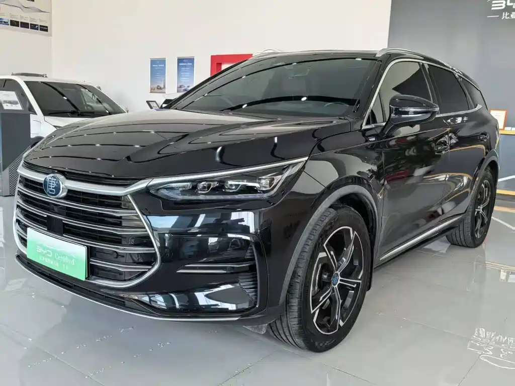 2022 BYD Tang - zdjęcie 1 z 16