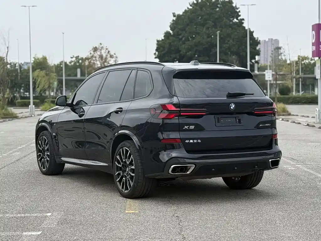 BMW X5 — миниатюра 8