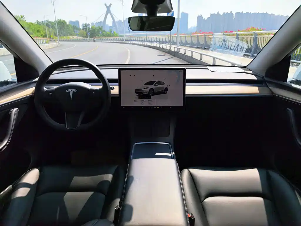 Tesla Model Y — миниатюра 9