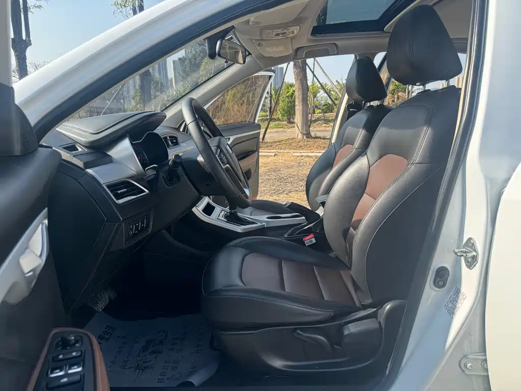 GEELY AUTOMOBILE VISION