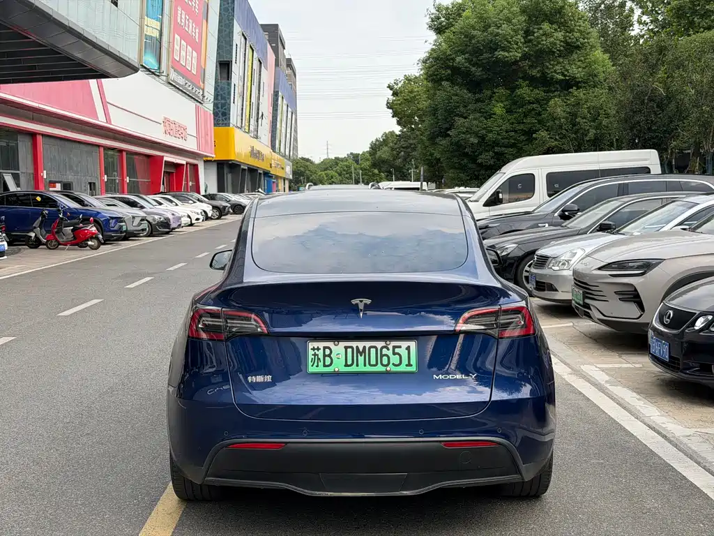 Tesla Model Y — миниатюра 6