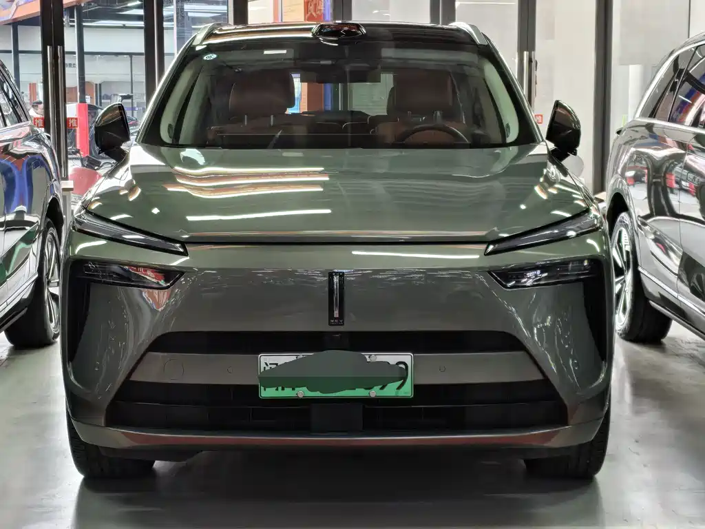 WEI PAI WEI BRAND BLUE MOUNTAIN