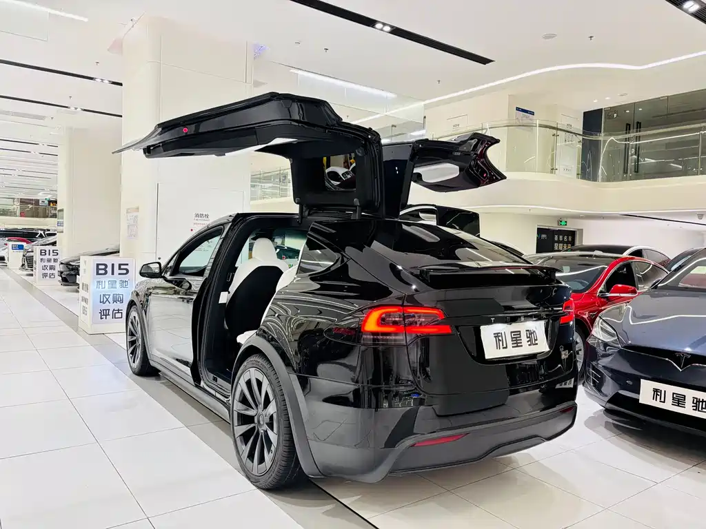 Tesla Model X — миниатюра 3