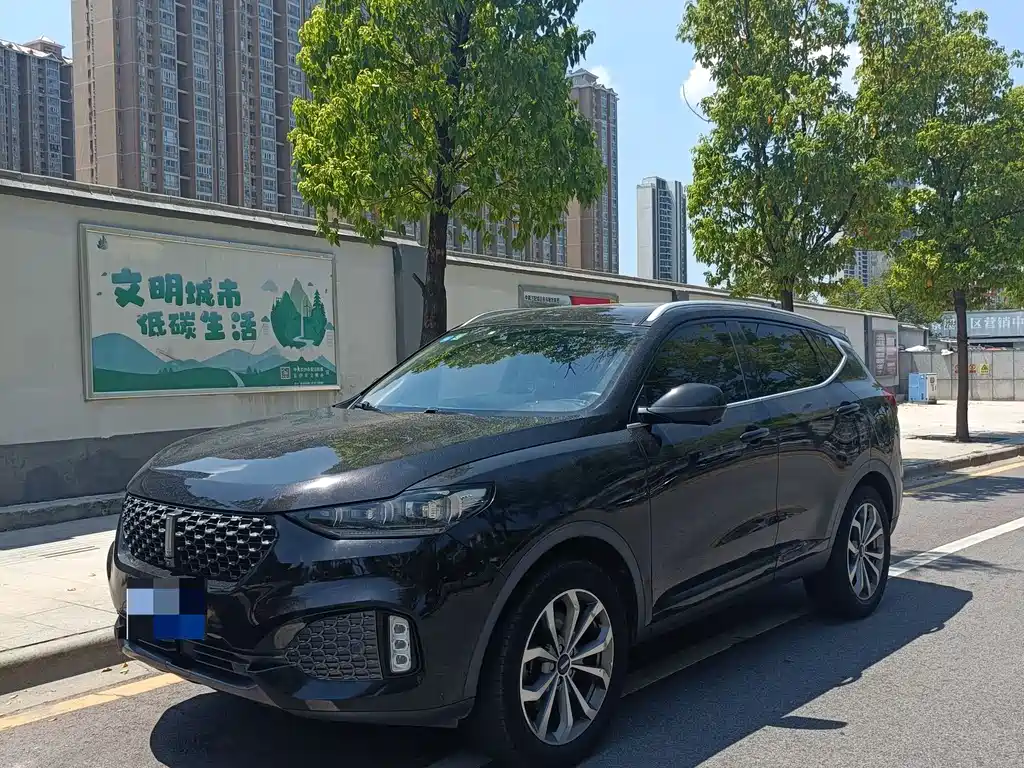 WEI PAI WEI BRAND VV6