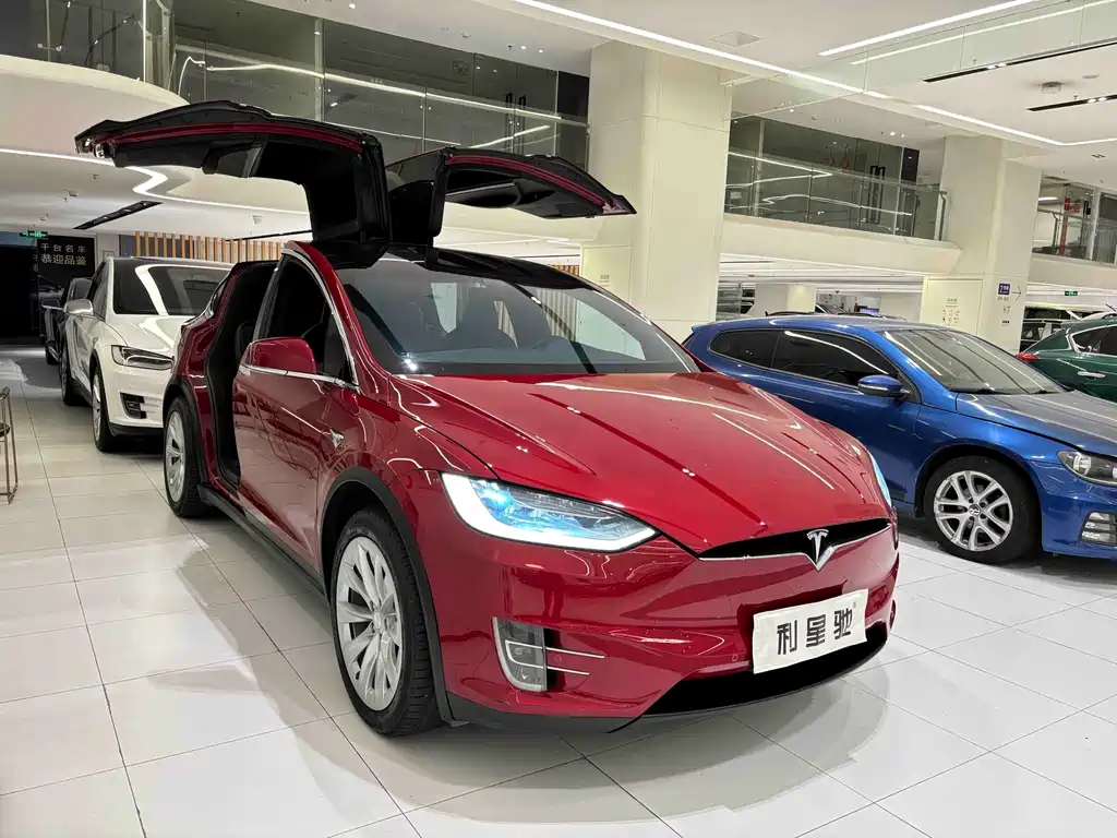 Tesla Model X — миниатюра 2