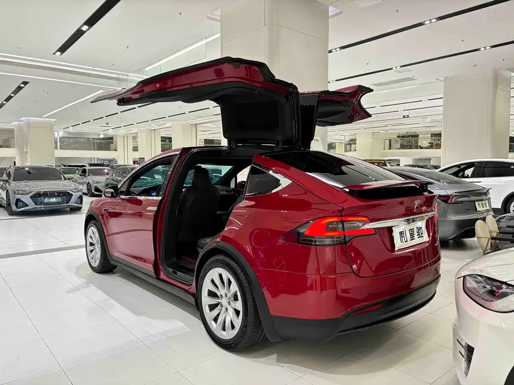 Tesla Model X — миниатюра 3