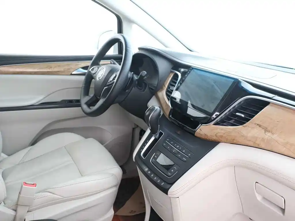 Buick GL8 — миниатюра 8