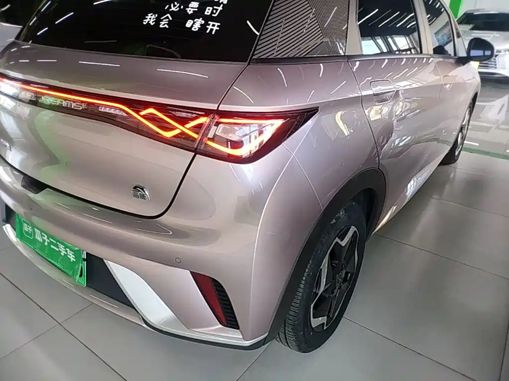 BYD Dolphin — миниатюра 8