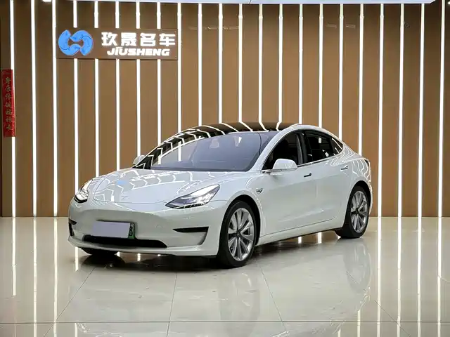 TESLA MODEL 3 2020