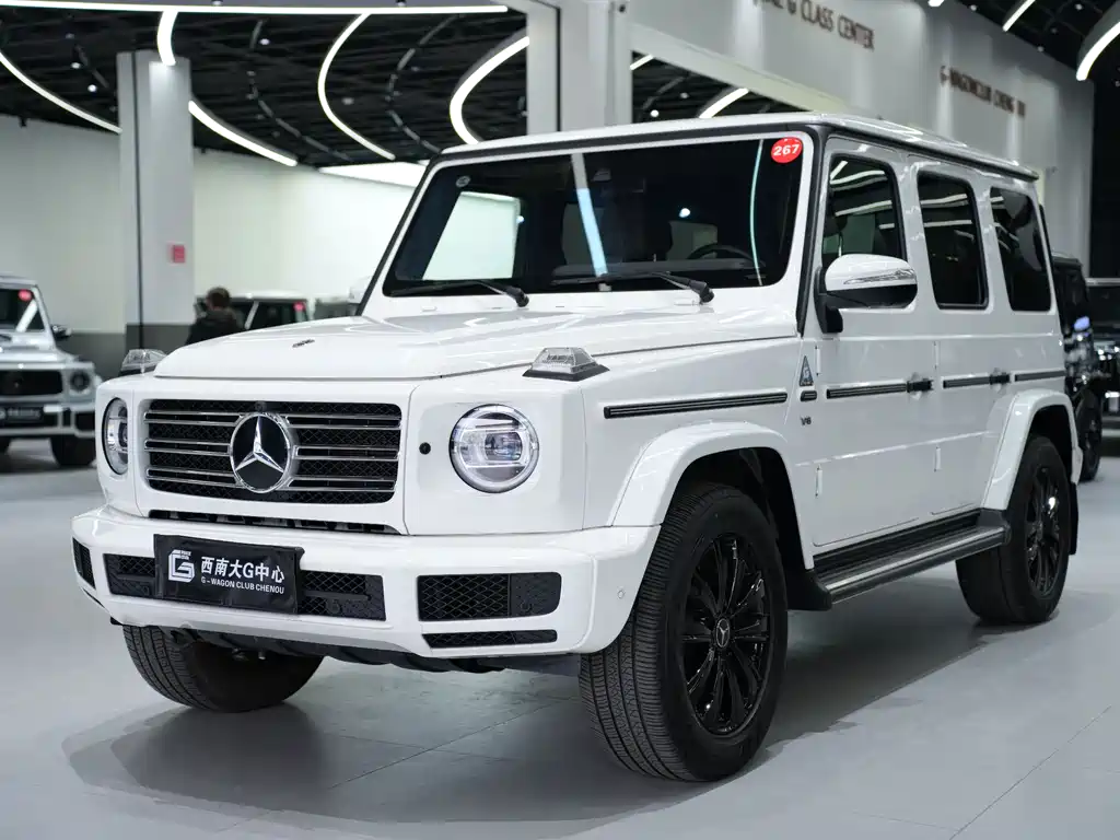 MERCEDES-BENZ G CLASS