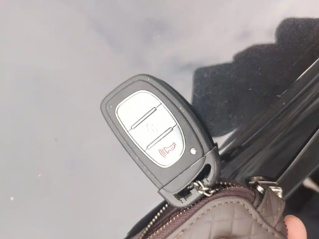 Bisu Bisu T5 — миниатюра 9